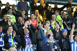 Brighton and Hove Albion vs Sheffield Wednesday: Sky Bet Championship Play-Off Showdown at Hillsborough (May 2016)