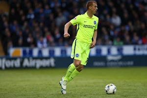 Brighton and Hove Albion vs Sheffield Wednesday: Sky Bet Championship Play-Off Showdown at Hillsborough (May 2016)