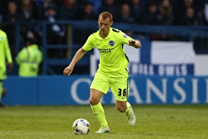 Brighton and Hove Albion vs Sheffield Wednesday: Sky Bet Championship Play-Off Showdown at Hillsborough (May 2016)