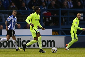 Brighton and Hove Albion vs Sheffield Wednesday: Sky Bet Championship Play-Off Showdown at Hillsborough (May 2016)