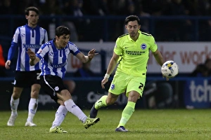 Brighton and Hove Albion vs Sheffield Wednesday: Sky Bet Championship Play-Off Showdown at Hillsborough (May 2016)