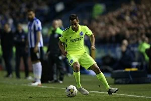 Images Dated 13th May 2016: Brighton and Hove Albion vs. Sheffield Wednesday: Championship Play-Offs First Leg at Hillsborough