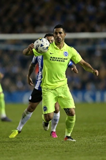 Brighton and Hove Albion vs Sheffield Wednesday: Sky Bet Championship Play-Off Showdown at Hillsborough (May 2016)