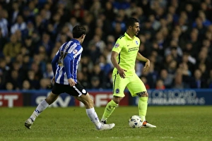 Brighton and Hove Albion vs Sheffield Wednesday: Sky Bet Championship Play-Off Showdown at Hillsborough (May 2016)