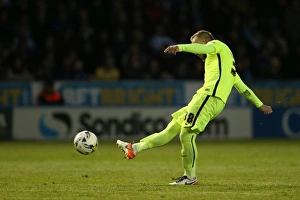 Brighton and Hove Albion vs Sheffield Wednesday: Sky Bet Championship Play-Off Showdown at Hillsborough (May 2016)