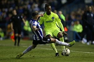 Images Dated 13th May 2016: Brighton and Hove Albion vs. Sheffield Wednesday: Championship Play-Off Clash at Hillsborough