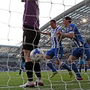 Images Dated 6th February 2011: Brighton and Hove Albion vs Sheffield Wednesday: Sky Bet Championship Play-Off Showdown at