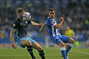 Brighton and Hove Albion vs Sheffield Wednesday: Sky Bet Championship Play-Off Showdown at the American Express Community Stadium (16 May 2016)