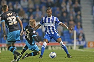 Brighton and Hove Albion vs Sheffield Wednesday: Sky Bet Championship Play-Off Showdown at American Express Community Stadium (16 May 2016)