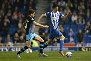 Brighton and Hove Albion vs Sheffield Wednesday: Sky Bet Championship Play-Off Showdown at American Express Community Stadium (16 May 2016)