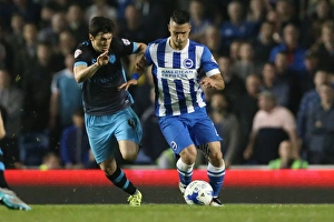 Brighton and Hove Albion vs Sheffield Wednesday: Sky Bet Championship Play-Off Showdown at American Express Community Stadium (16 May 2016)