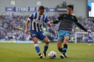 Brighton and Hove Albion vs Sheffield Wednesday: Sky Bet Championship Play-Off Showdown at American Express Community Stadium (16 May 2016)