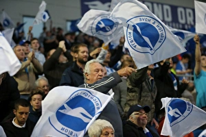 Brighton & Hove Albion vs Sheffield Wednesday: Play-Off Showdown at the American Express Community Stadium (16 May 2016)