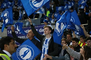 Brighton and Hove Albion vs Sheffield Wednesday: Sky Bet Championship Play-Off Showdown at the American Express Community Stadium (16 May 2016)