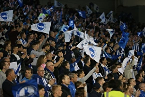 Brighton and Hove Albion vs Sheffield Wednesday: Sky Bet Championship Play-Off Showdown at American Express Community Stadium (16 May 2016)