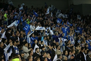 Brighton and Hove Albion vs Sheffield Wednesday: Sky Bet Championship Play-Off Showdown at American Express Community Stadium (16 May 2016)