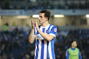 Brighton and Hove Albion vs Sheffield Wednesday: Sky Bet Championship Play-Off Showdown at American Express Community Stadium (16 May 2016)