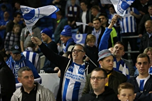 Brighton and Hove Albion vs Sheffield Wednesday: Sky Bet Championship Play-Off Showdown at American Express Community Stadium (16 May 2016)