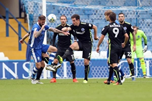Brighton and Hove Albion vs Sheffield Wednesday: A Battle in the Sky Bet Championship at Hillsborough (1st October 2016)