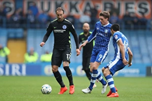 Brighton and Hove Albion vs Sheffield Wednesday: EFL Championship Showdown at Hillsborough (1st October 2016)