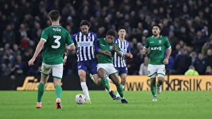 Images Dated 4th January 2020: Brighton & Hove Albion vs. Sheffield Wednesday: FA Cup Battle at American Express Community