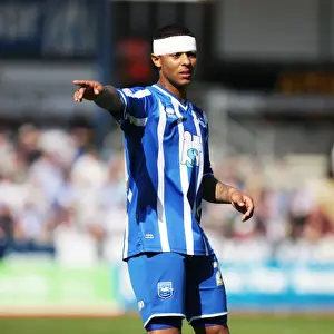Brighton & Hove Albion vs Sheffield Wednesday: 2010-11 Home Game