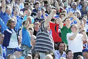 Brighton & Hove Albion vs Sheffield Wednesday: 2010-11 Home Game