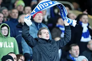 Sheffield Wednesday - 02-02-2013 Prints: Brighton & Hove Albion vs Sheffield Wednesday: 2012-13 Away Game