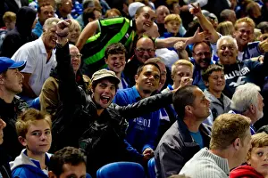 Brighton & Hove Albion vs. Sheffield Wednesday: 2012-13 Home Game