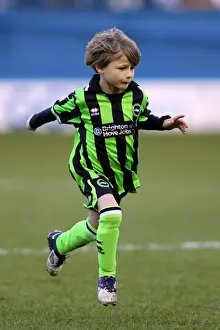 Brighton & Hove Albion vs. Sheffield Wednesday: 2012-13 Season - Away Game