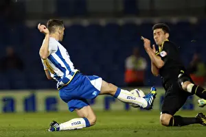 Sheffield Wednesday - 01-10-2013 Prints: Brighton & Hove Albion vs. Sheffield Wednesday (2013-10-01) - Home Game from the 2013-14 Season