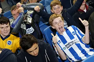 Brighton & Hove Albion vs. Sheffield Wednesday (2013-10-01) - Home Game from the 2013-14 Season