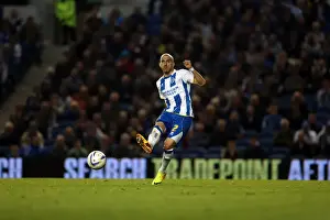 Sheffield Wednesday - 01-10-2013 Prints: Brighton & Hove Albion vs. Sheffield Wednesday (2013-10-01) - Home Game, 2013-14 Season