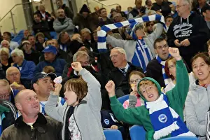 Sheffield Wednesday - 01-10-2013 Prints: Brighton & Hove Albion vs. Sheffield Wednesday (2013-10-01) - Home Game, 2013-14 Season