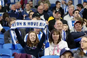 Sheffield Wednesday - 01-10-2013 Prints: Brighton & Hove Albion vs. Sheffield Wednesday (2013-10-01) - Home Game, 2013-14 Season
