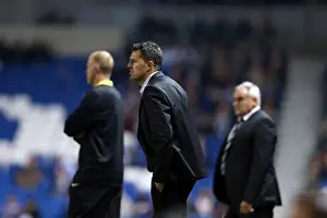 Brighton & Hove Albion vs. Sheffield Wednesday (2013-10-01) - Home Game, 2013-14 Season