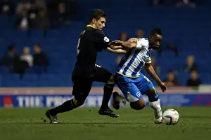 Sheffield Wednesday - 01-10-2013 Prints: Brighton & Hove Albion vs. Sheffield Wednesday (2013-14 Season) - Home Game Highlights (October 1)