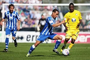 Images Dated 9th April 2011: Brighton & Hove Albion vs. Sheffield Wednesday: 2010-11 Home Game