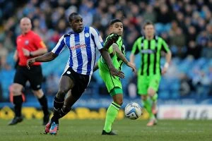 Images Dated 2nd February 2013: Brighton & Hove Albion vs Sheffield Wednesday (Away) - 02-02-2013