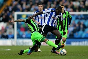 Images Dated 2nd February 2013: Brighton & Hove Albion vs. Sheffield Wednesday (Away) - 02-02-2013: Season 2012-13