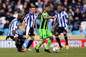 Images Dated 2nd February 2013: Brighton & Hove Albion vs. Sheffield Wednesday (Away) - 02-02-2013: 2012-13 Season