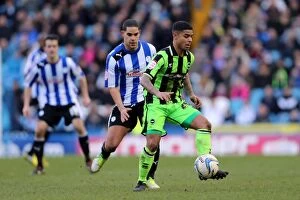 Images Dated 2nd February 2013: Brighton & Hove Albion vs. Sheffield Wednesday (Away): 02-02-2013 - Season 2012-13