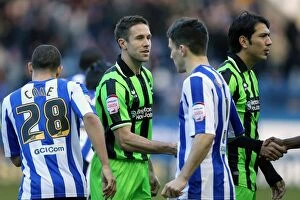 Images Dated 2nd February 2013: Brighton & Hove Albion vs. Sheffield Wednesday (Away) - 2013: A Season 12-13 Away Game