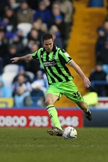 Images Dated 2nd February 2013: Brighton & Hove Albion vs Sheffield Wednesday (Away): 02-02-2013 - Season 2012-13