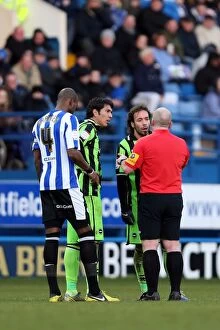 Images Dated 2nd February 2013: Brighton & Hove Albion vs Sheffield Wednesday (Away): 02-02-2013 - 2012-13 Season