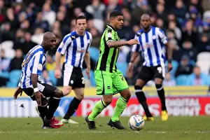 Sheffield Wednesday - 02-02-2013 Prints: Brighton & Hove Albion vs. Sheffield Wednesday (Away) - 02-02-2013: 2012-13 Season