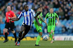 Sheffield Wednesday - 02-02-2013 Prints: Brighton & Hove Albion vs Sheffield Wednesday (Away) - 02-02-2013: 2012-13 Season - Sheffield Wednesday Game