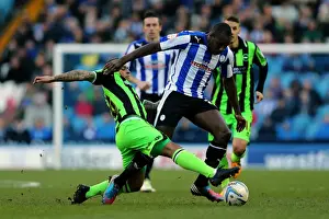 Sheffield Wednesday - 02-02-2013 Prints: Brighton & Hove Albion vs. Sheffield Wednesday (Away) - 02-02-2013: Season 2012-13