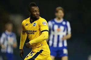 Brighton & Hove Albion vs. Sheffield Wednesday (Away): 25-03-14