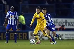 Brighton & Hove Albion vs. Sheffield Wednesday (Away Game - 25-03-14)